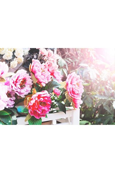 OEM Διακοσμητική επιτοίχια ζωγραφική με ξύλινο πλαίσιο, 33cm x 24cm, εικόνα 2490