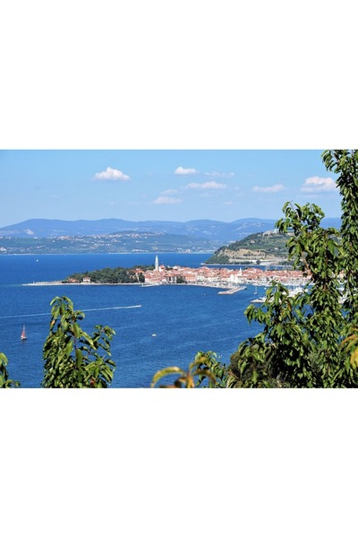 OEM Tablou decorativ, de perete, cu rama din lemn, 33cm x 24cm, imaginea 1936