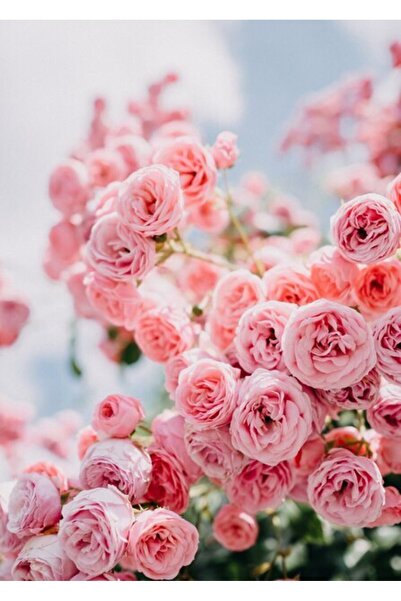 OEM Διακοσμητική επιτοίχια ζωγραφική με ξύλινο πλαίσιο, 33cm x 24cm, εικόνα 2227