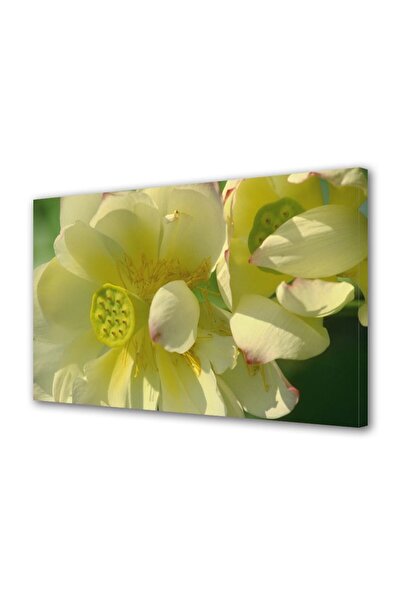 OEM Tablou decorativ, de perete, cu rama din lemn, 33cm x 24cm,cu flori1444