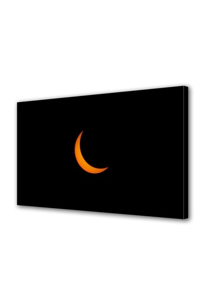 OEM Tablou decorativ, de perete, cu rama din lemn, 33cm x 24cm,cu flori2036