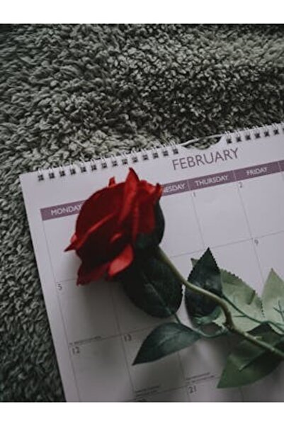 OEM Διακοσμητική επιτοίχια ζωγραφική με ξύλινο πλαίσιο, 33cm x 24cm, εικόνα 2387