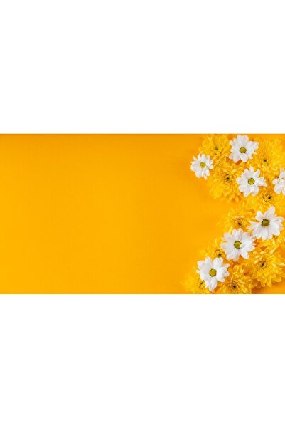 OEM Tablou decorativ, de perete, cu rama din lemn, 33cm x 24cm, imaginea 2575