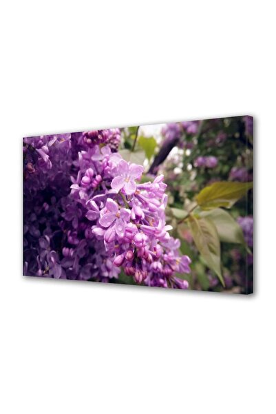 OEM Tablou decorativ, de perete, cu rama din lemn, 33cm x 24cm,cu flori1324