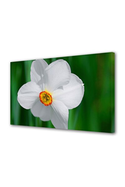 OEM Tablou decorativ, de perete, cu rama din lemn, 33cm x 24cm,cu flori1620