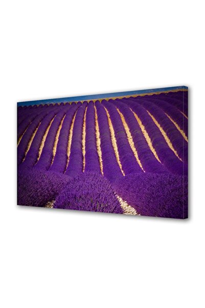 OEM Tablou decorativ, de perete, cu rama din lemn, 33cm x 24cm,cu flori1339