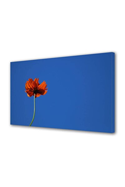 OEM Tablou decorativ, de perete, cu rama din lemn, 33cm x 24cm,cu flori1511