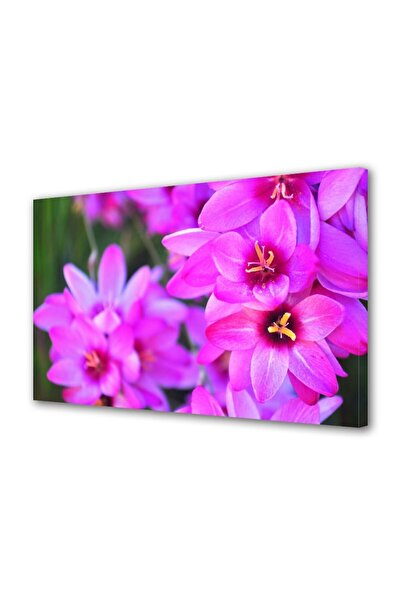 OEM Tablou decorativ, de perete, cu rama din lemn, 33cm x 24cm,cu flori1271