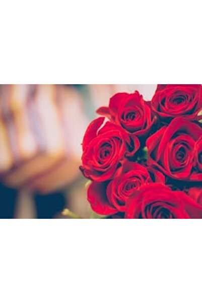 OEM Διακοσμητική επιτοίχια ζωγραφική με ξύλινο πλαίσιο, 33cm x 24cm, εικόνα 2184