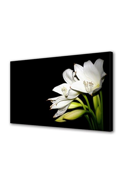 OEM Tablou decorativ, de perete, cu rama din lemn, 33cm x 24cm,cu flori1293