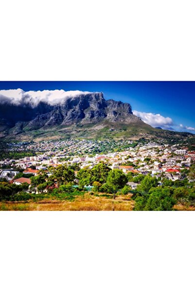 OEM Διακοσμητική επιτοίχια ζωγραφική με ξύλινο πλαίσιο, 33cm x 24cm, εικόνα 1748