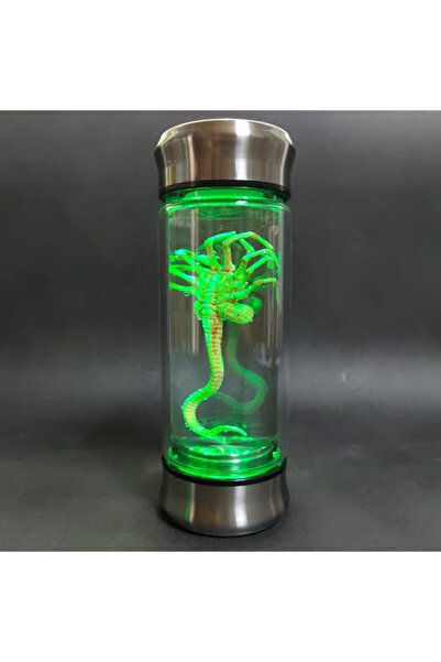 Choice1 مرطبان زجاجي مضيء بإضاءة LED، يحتوي على عينة من زينومورف وجنين فيسهاغ...