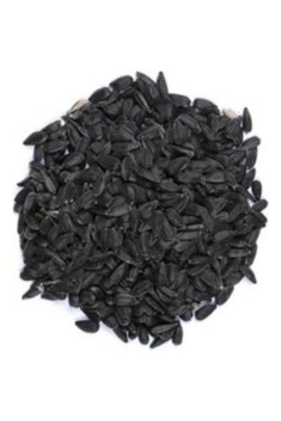 Badem Akvaryum Sıyah Çekırdek Küçük Paraket Çekirdeği 1 Kg
