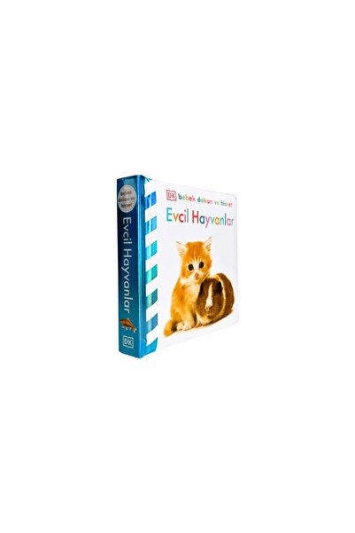 Beta Kitap لمسة الطفل ويشعر بالحيوانات الأليفة