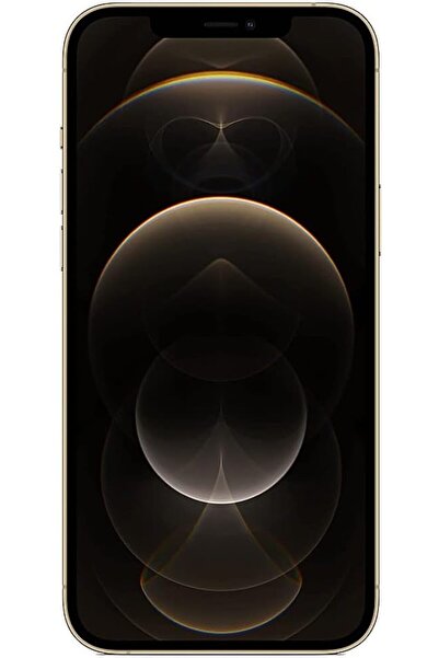 Apple iPhone 12 Pro Max 256GB Gold