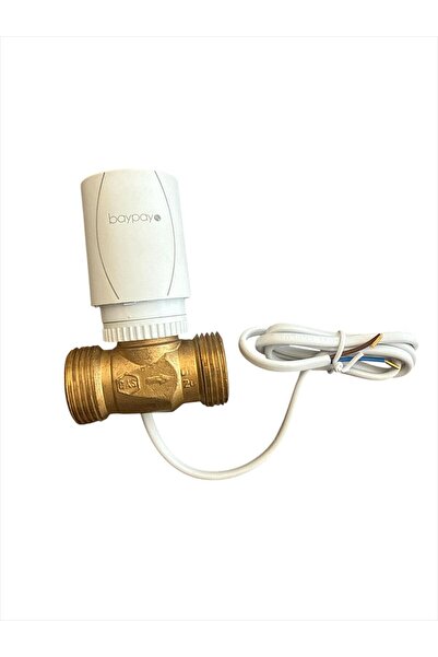 BAYPAYO Yerden Isıtma İçin İki Yollu Motorlu Vana Ve Gövdesi 1 Takım Dn20
