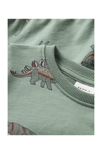 Name it NMMNENEAN LS SWE BRU PB