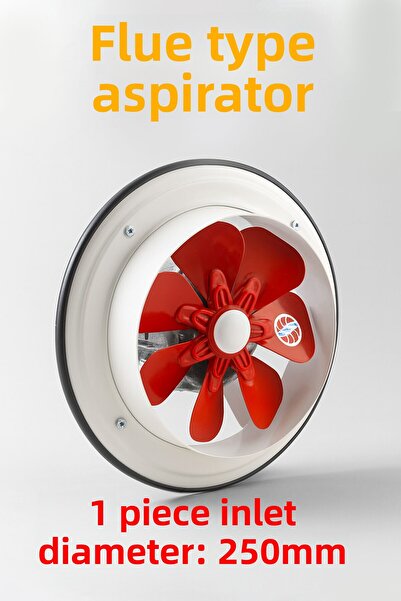 Badem10 Chimney Type Aspirator Silent 250 mm Ventilation Fan Home and Industrial Type Powerful Air Suction Deodorizer