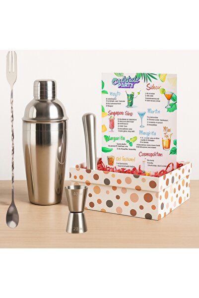 PERLOTUS 6 Parça Paslanmaz Çelik Kokteyl Seti Shaker, Jigger, Bar Kaşığı, Hediye Kutusu