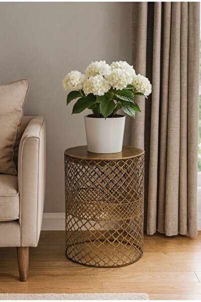 VENON Home Metal Modern Sehpa (350X480) Siyah Sarı Patine Dekoratif Sehpa Zigon Sehpa Orta