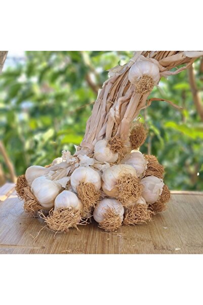 Efesarımsak37 Taşköprü Sarimsaği Duble Boy