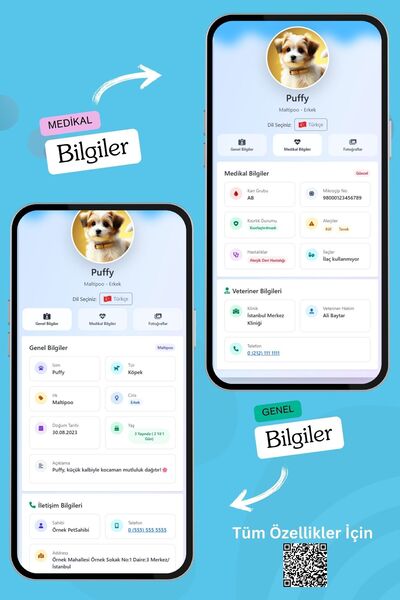 petkay Köpekler Için Akıllı Künye, Nfc Dijital Isimlik Ve Tasma Künyesi Qr Kod Künye Paslanmaz Çelik Mavi