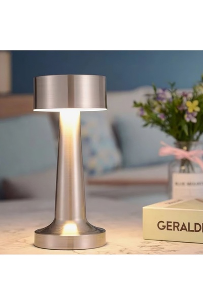 ETRONIK Table Lamp Rechargeable, Touch Sensor LED Desk lamp 3 Ways Dimming, USB Cord for Bedside (SILVER)