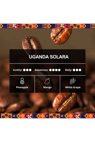 Flava ART OF AROMA Uganda Solara 250 G - Bean - Light Roast