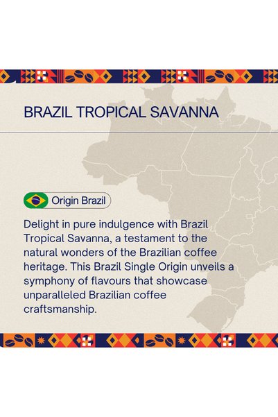 Flava ART OF AROMA Brazil Tropical Savanna 250 G - Ground - Medium Roast