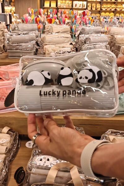 ARVALE Lucky Panda Travel Set | Shower Loofah, Soap Dish, Comb with Transparent Organizer Bag