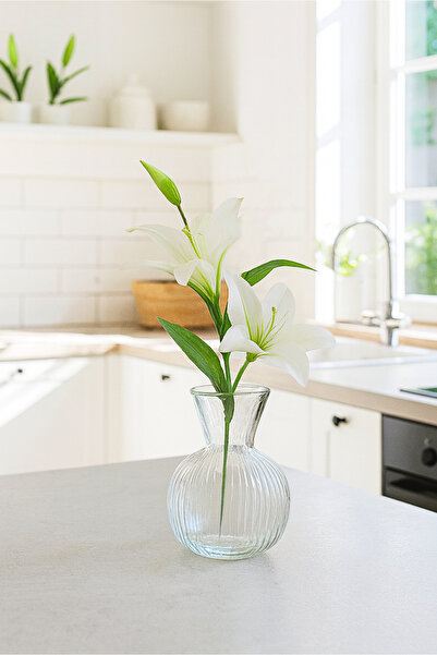 HOMİNG Chiaro Mini vază pentru flori din sticlă 13 cm 242185