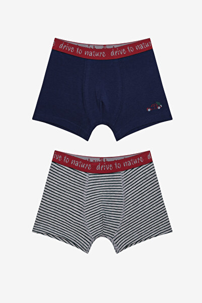 Penti Boxer multicolor din 2 piese pentru băiat Drive To Nature