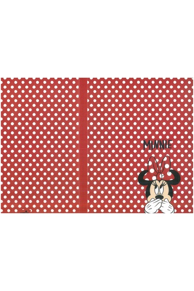 Mynote Disney Sunum Dosyası 30'lu Dsn 4