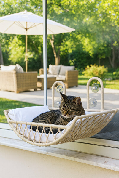 TASARYUM Kedi Köpek Cam Yatağı Pencere Yatağı Vantuzlu Hamak