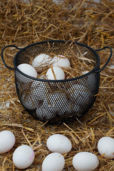 VENON Home Foniy Çok Amaçlı meyve Sepeti,yumurtalık Siyah Metal Sepet Düzenleyici