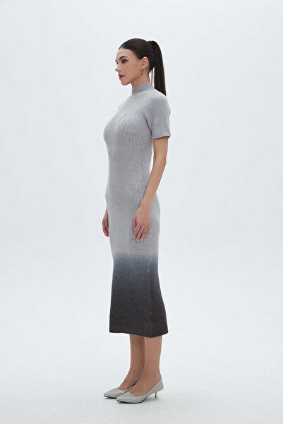 Nichii Color-Block High Neck Midi Dress with Half Sleeves