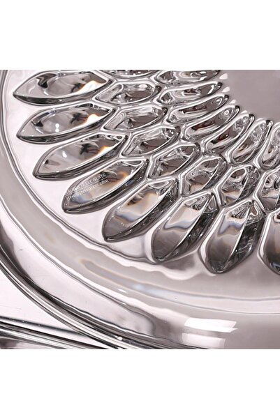 erorex Fruit Plate Cake Plate Glass Dish Diameter 31Cm Height 3.1Cm Plate Ocean Design Tableware Home