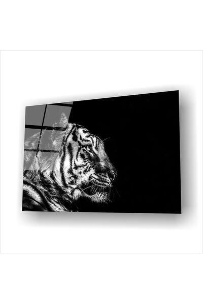 kontemcam Kaplan Figürlü Cam Tablo – Siyah Beyaz Modern Aslan Yırtıcı Hayvan ...