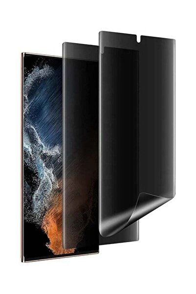 Generic واقي شاشة هيدروجيل غير لامع للخصوصية من قطعتين لهاتف Huawei Pura 80 P...