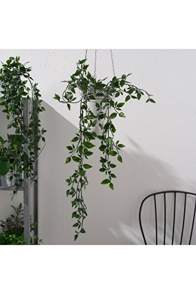 FEJKA Artificial potted plant, in/outdoor/hanging, 9 cm
