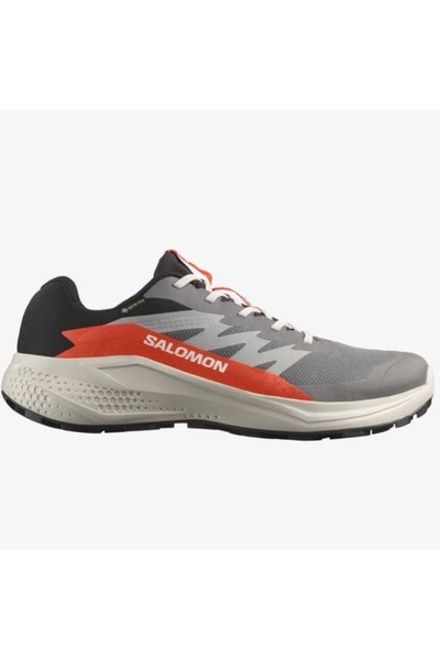 Salomon Alpha Glide Gtx Gore-Tex ® Men's Sneakers Gray