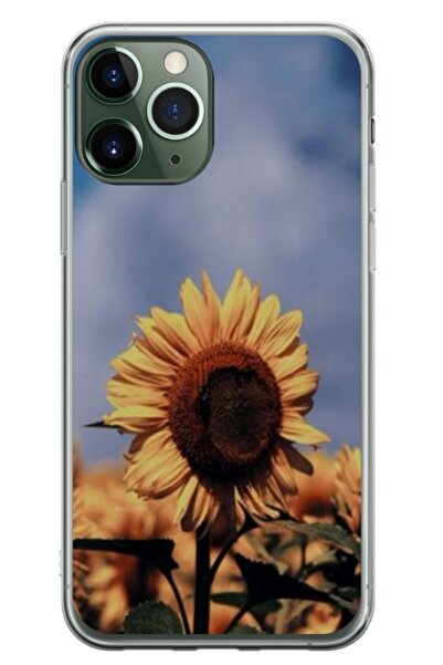 Atlas Husa personalizata tip carcasa Apple iPhone 12 Pro, Sunflower 1, , S1D1...