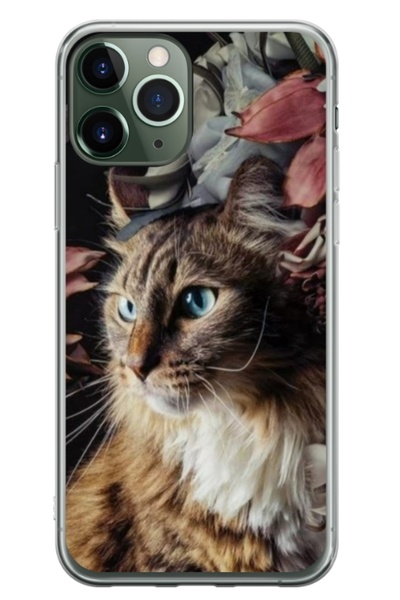 Atlas Εξατομικευμένη θήκη τύπου Apple iPhone 11 Pro, Cat 1, , S1D1M0143