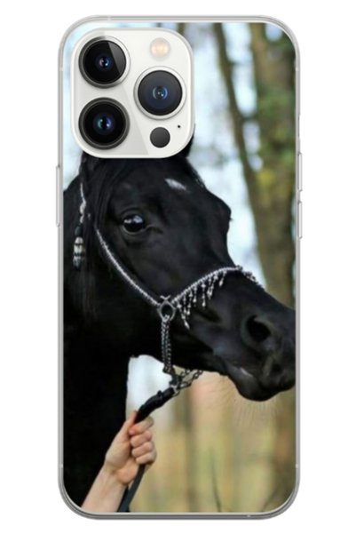 Atlas Husa personalizata tip carcasa Apple iPhone 13 Pro, Black Horse, , S1D1...