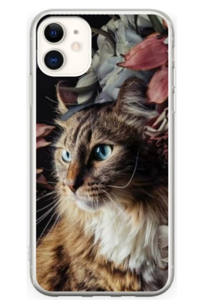 Atlas Husa personalizata tip carcasa Apple iPhone 11, Cat 1, , S1D1M0143