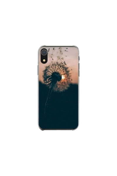 Atlas Husa personalizata tip carcasa Apple iPhone XR, Nice View 7, , S1D1M0138
