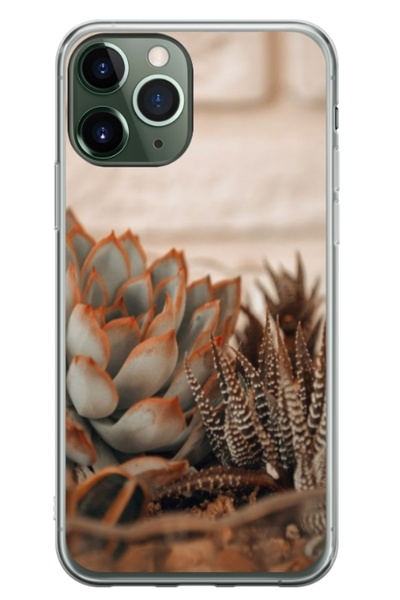 Atlas Husa personalizata tip carcasa Apple iPhone 11 Pro, Flowers 21, , S1D1M...