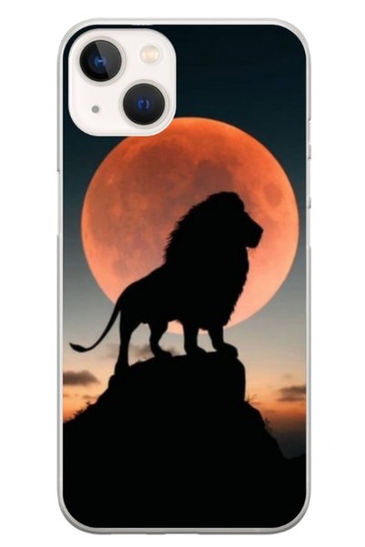 Atlas Husa personalizata tip carcasa Apple iPhone 15 Plus, Lion 1, , S1D1M0110