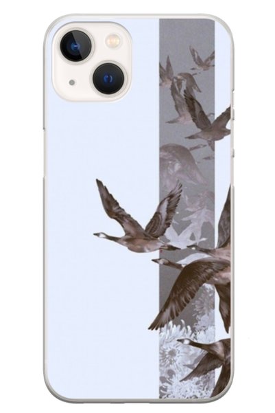 Atlas Husa personalizata tip carcasa Apple iPhone 15 Plus, Birds, , S1D1M0314