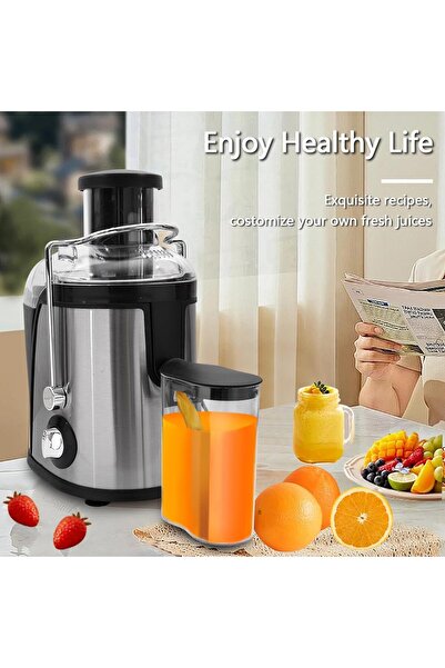 SHEWOW Riverlake Juicer 800W Stainless Steel Juice Extractor with 3 Inch Feed Chute